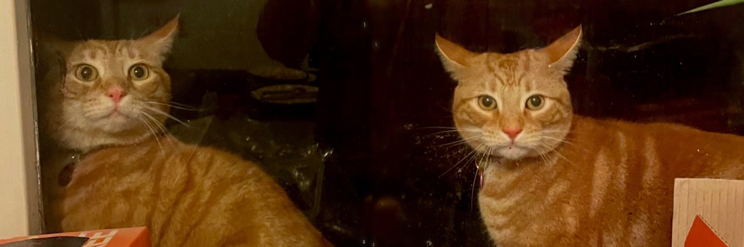 imogenblofeld's profile banner image