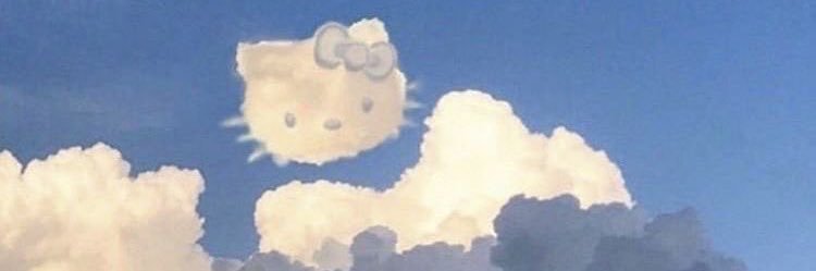 水魿 . ｡　ﾟ。 banner