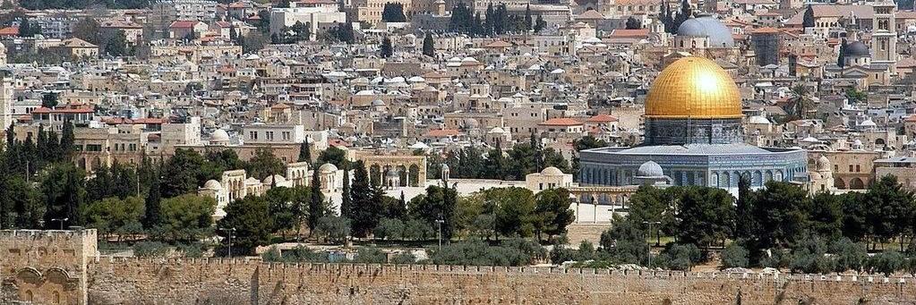 from 04 with love 🔻🇵🇸 banner