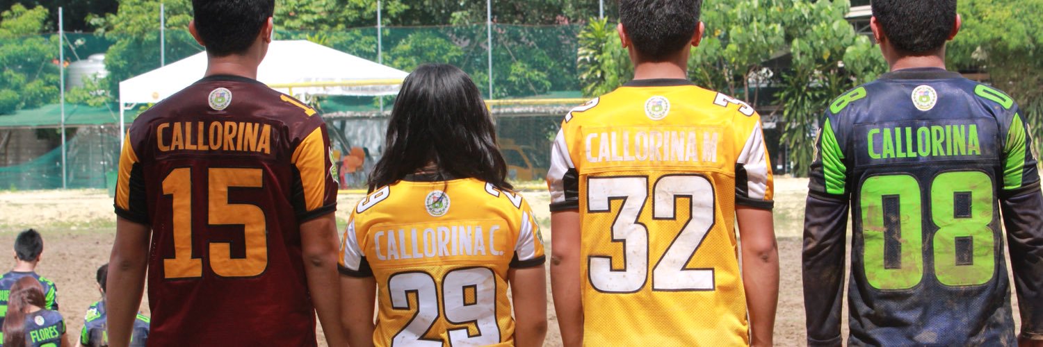 MiguelCallorina's profile banner image