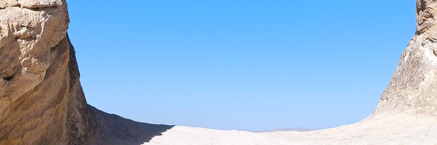 Furkan/Albatrosses banner