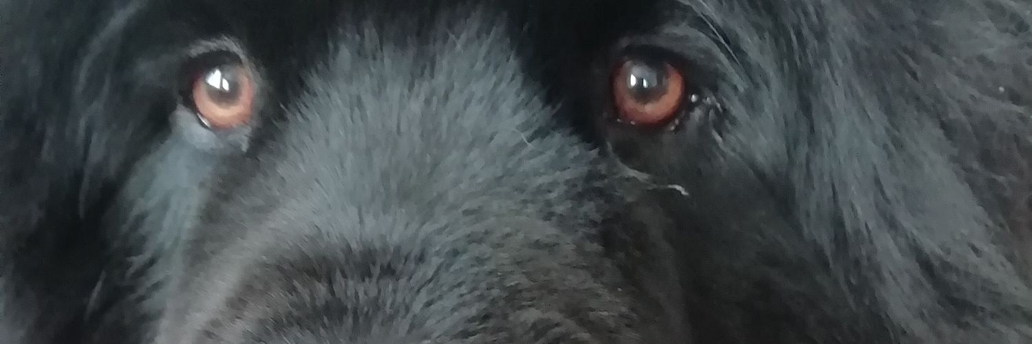 uzza banner