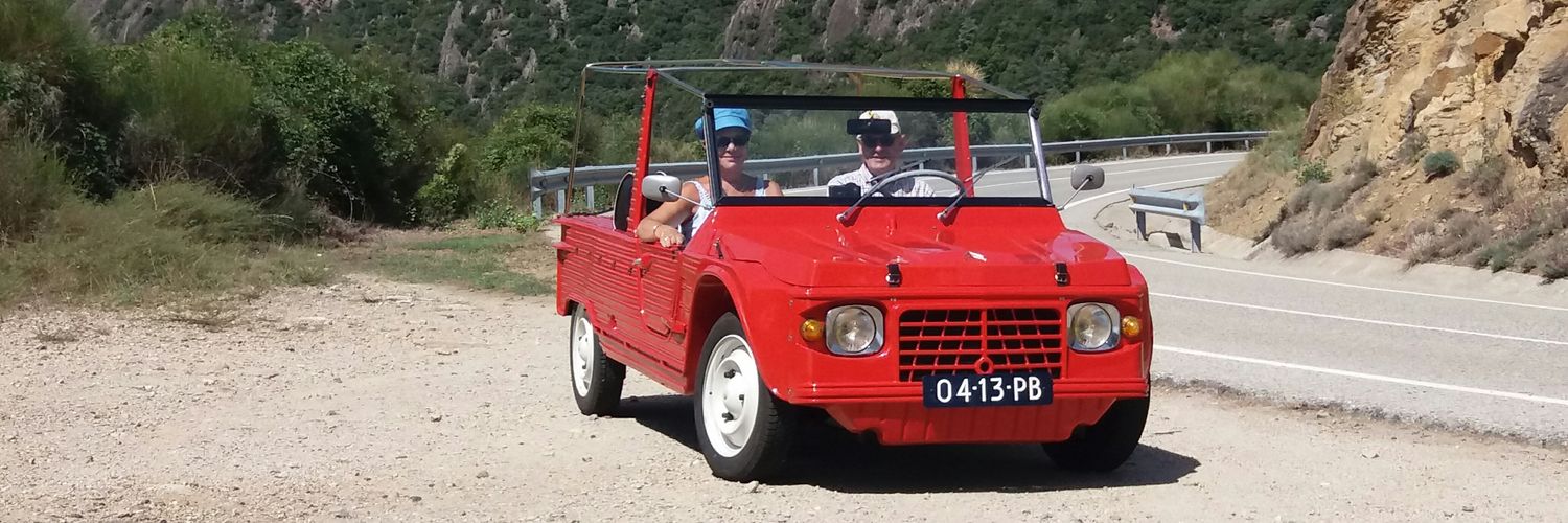 Dik Terpstra (@DikTerpstra) / Posts / X