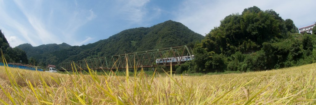 suno (すの) banner