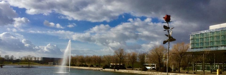 吉良貴之｜Kira, T. banner