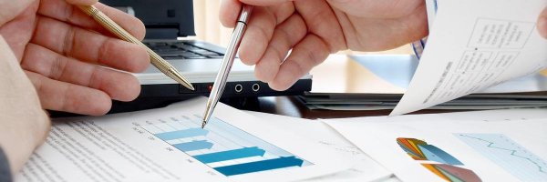 seospidy Profile Banner