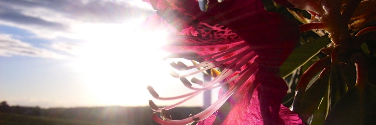 laurajclements's profile banner image