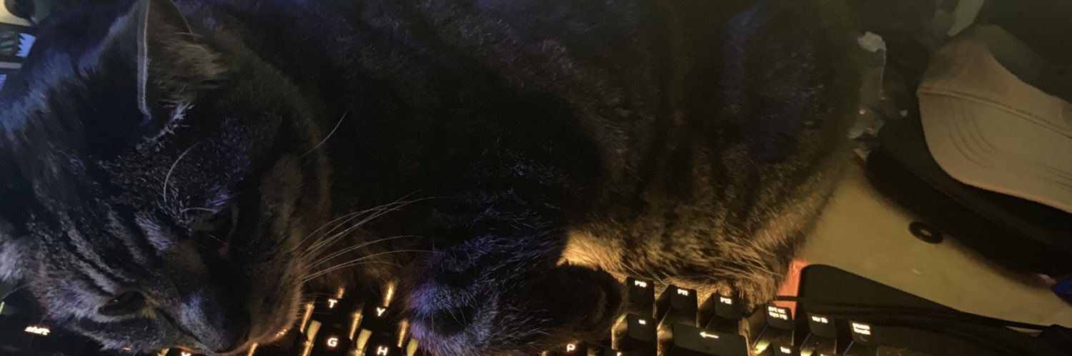 ESC5150's profile banner image
