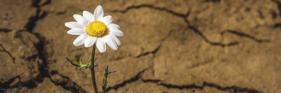 Jamalalamami's profile banner image