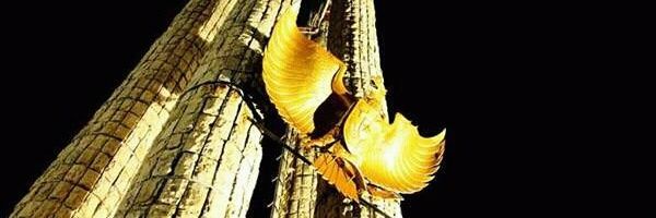 MohSyukron19's profile banner image