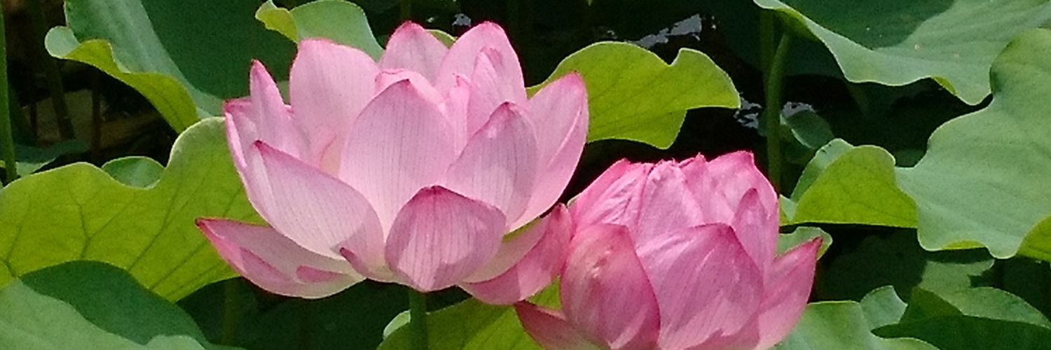 5593Saka's profile banner image