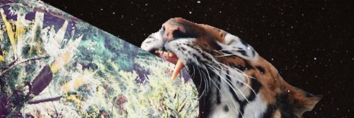 AndrinaWolff's profile banner image