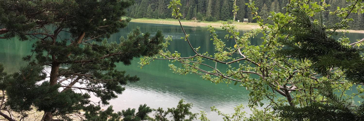 Irena Dimic Stijovic banner