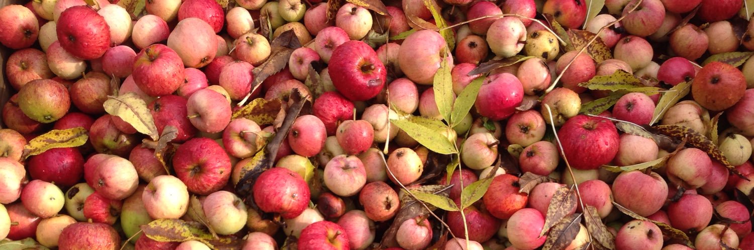 Helena Ullmark @helenaullmark.bsky banner