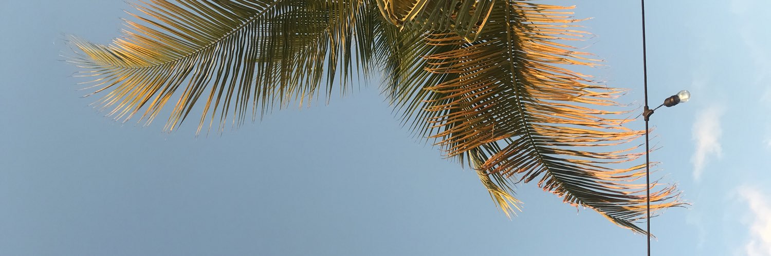 Red_Bronwyn's profile banner image