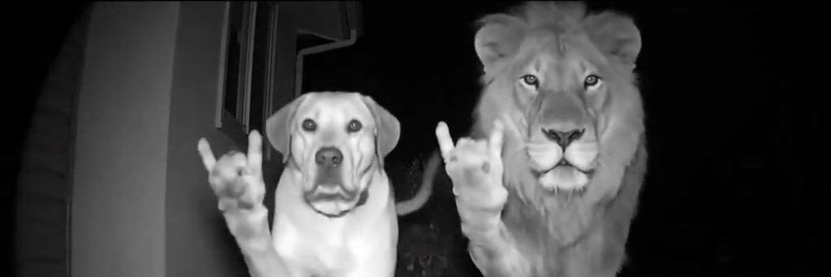 Cristian Alegría (?) banner