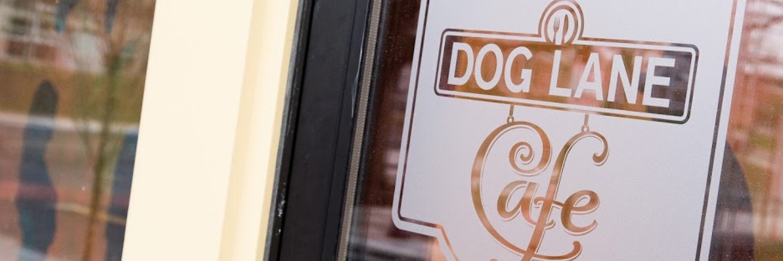 DogLaneCafe's profile banner image
