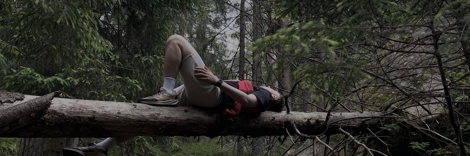 nikityaofox's profile banner image