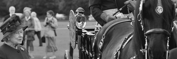 TCribb_sons Profile Banner