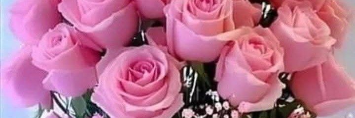 Luisajaib08's profile banner image