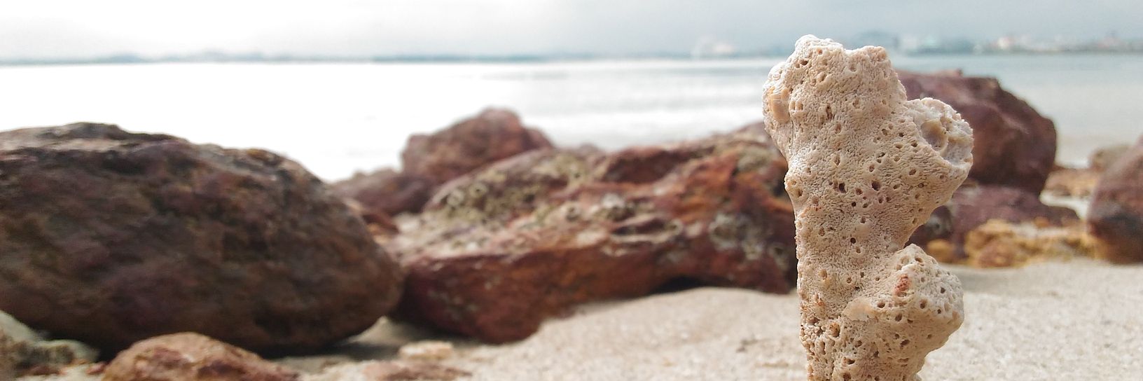 OdieLagi's profile banner image
