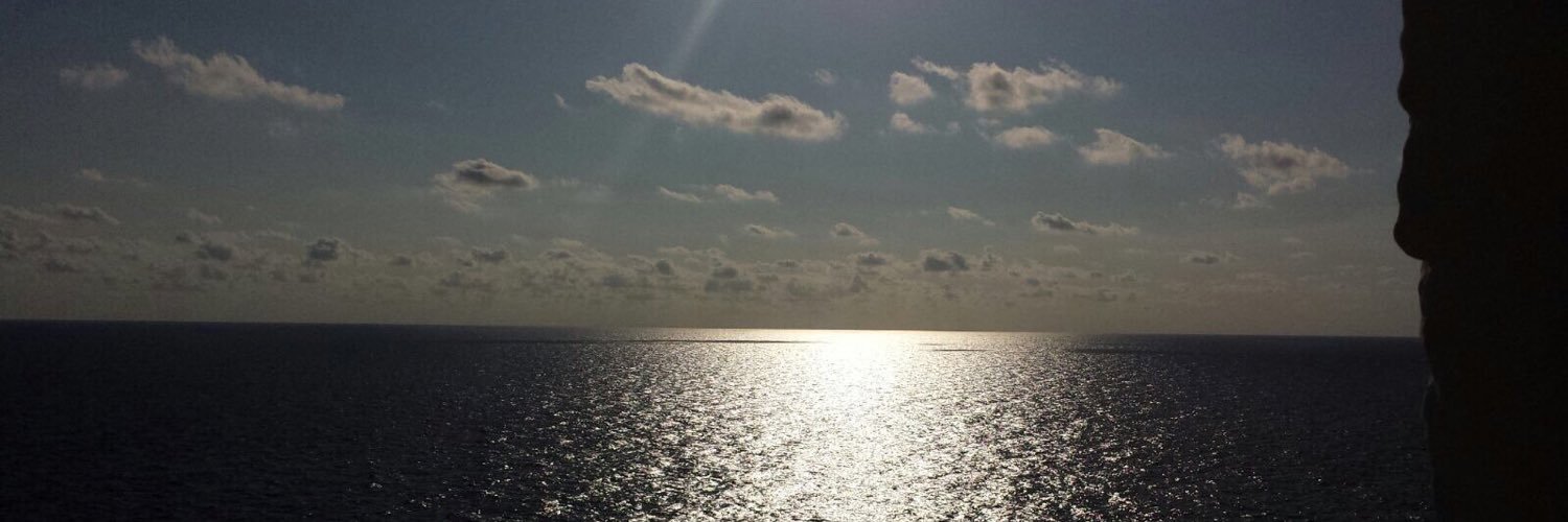 parizon81's profile banner image