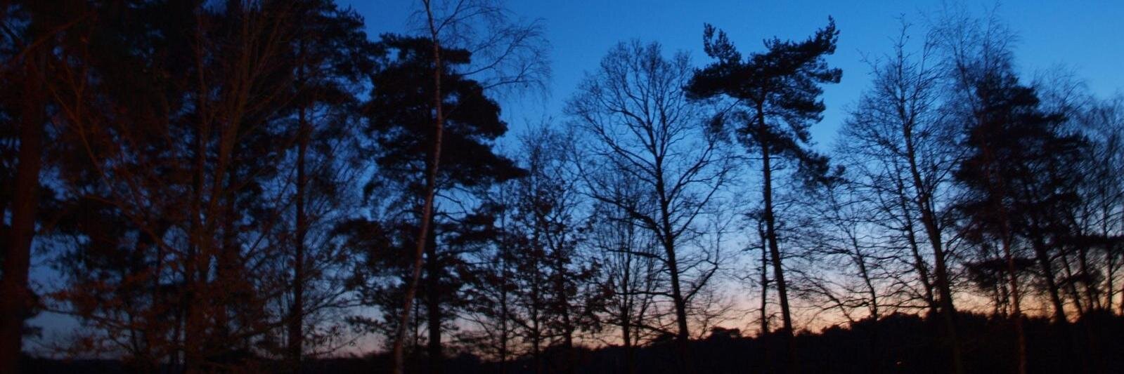 Andri1383's profile banner image