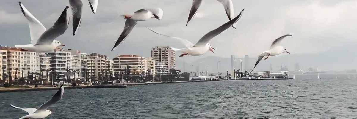 Nalan 🌜KISMİ EYT banner