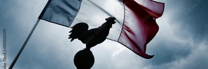 𝕏 🇫🇷 𝐘𝐎𝐃𝐀 𝕏 banner