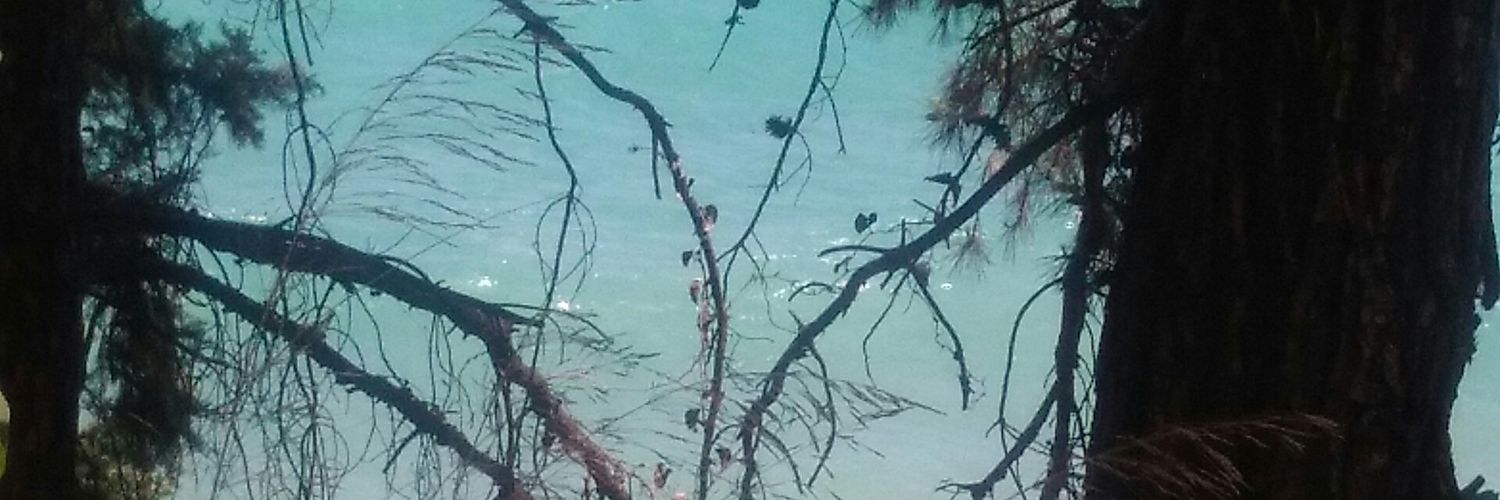 VesnaOparui's profile banner image