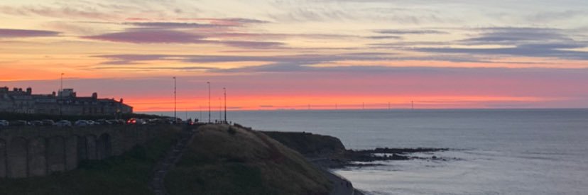 Frances_Prowse's profile banner image