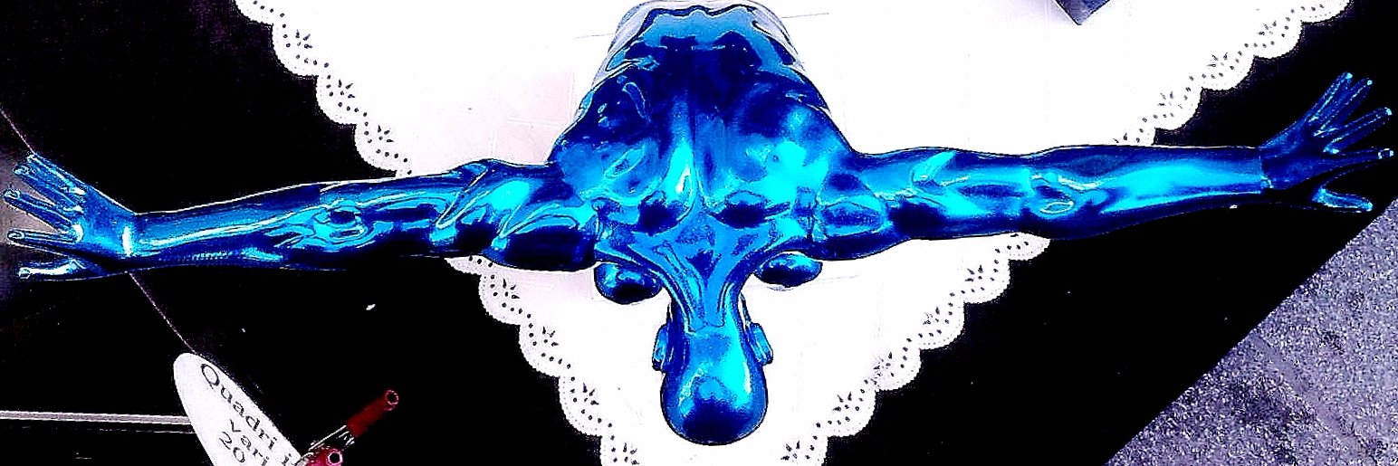 strappolarco's profile banner image