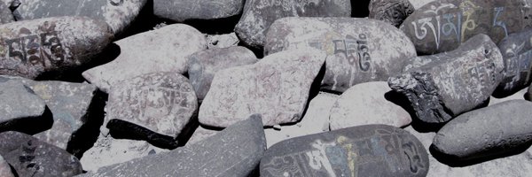 sonam_palmo Profile Banner