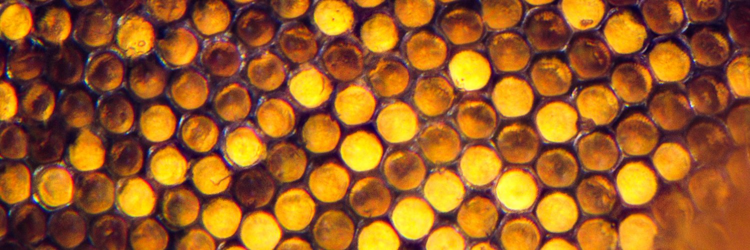 Lund Vision Group banner