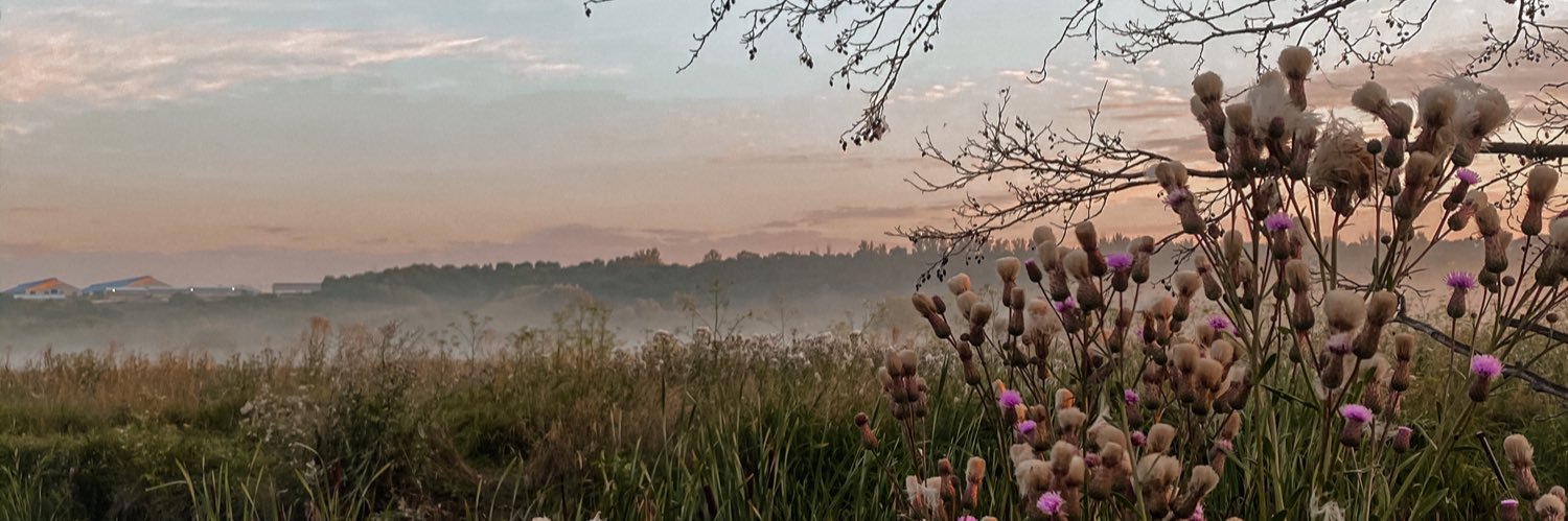 marsplaneta8's profile banner image