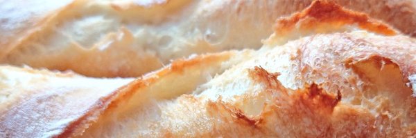 kotora_renard Profile Banner