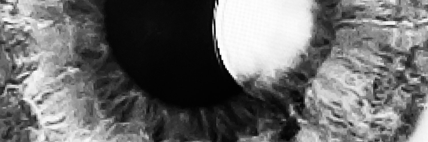 benjamin kessler banner