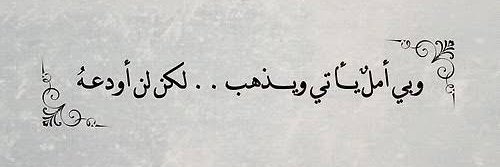 doaa_nail's profile banner image