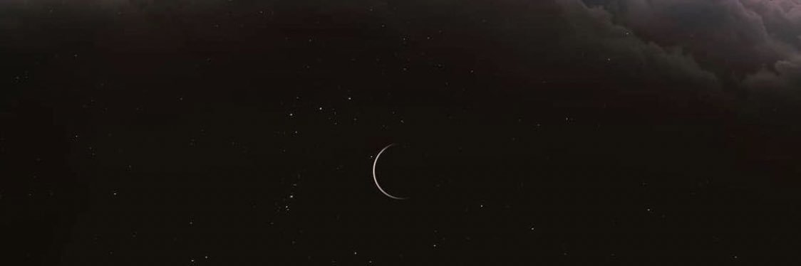 mynameisaline's profile banner image