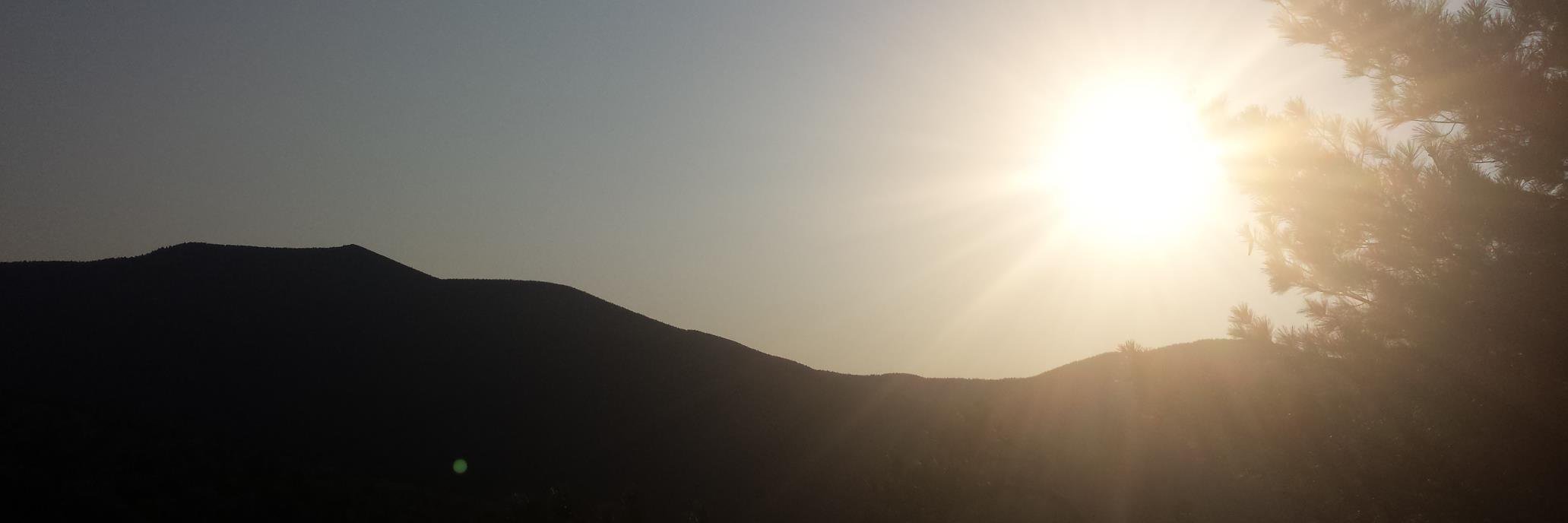 misschipmunk22's profile banner image