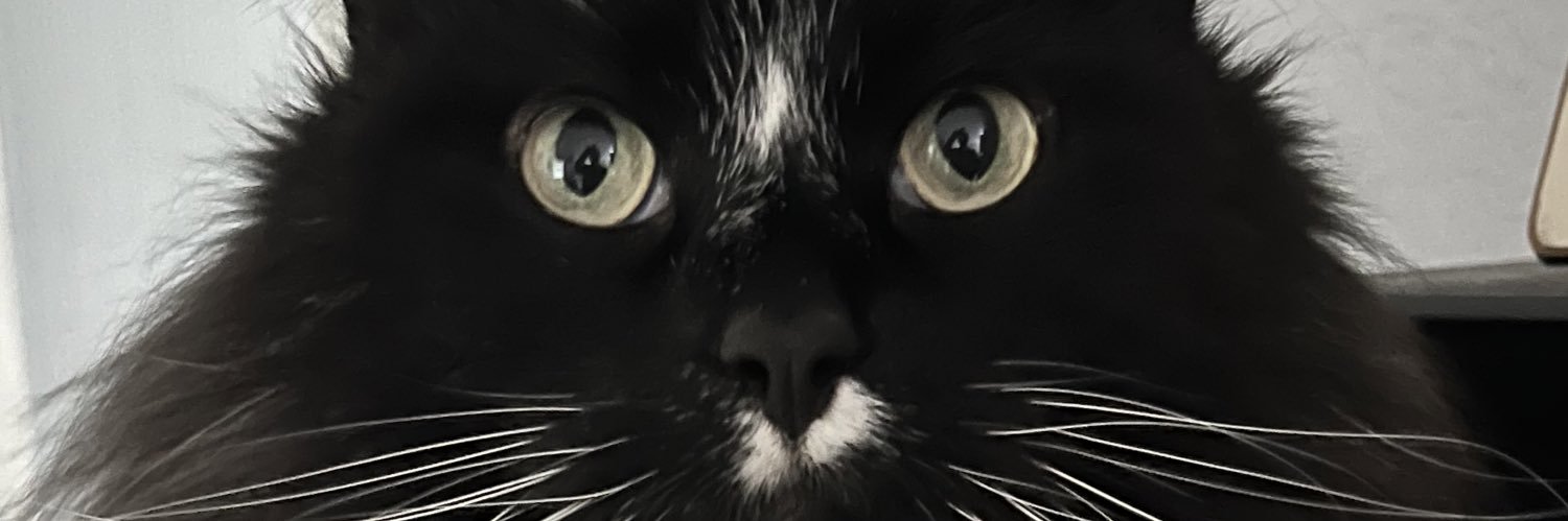 armarieee's profile banner image