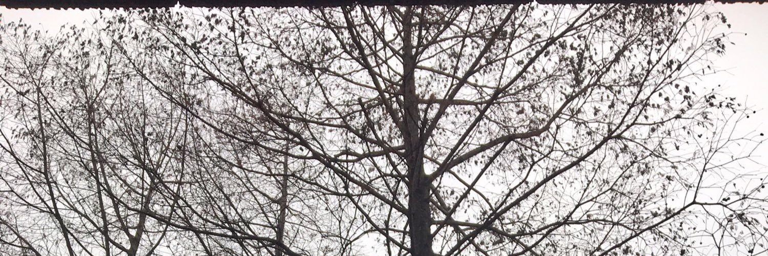 mA04410's profile banner image