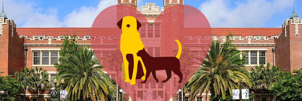 NOLES4NK's profile banner image