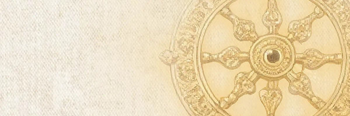 vanessafreerr's profile banner image