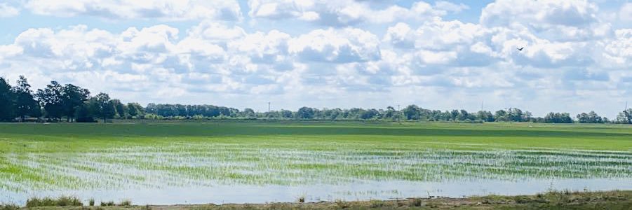 Logansmith banner