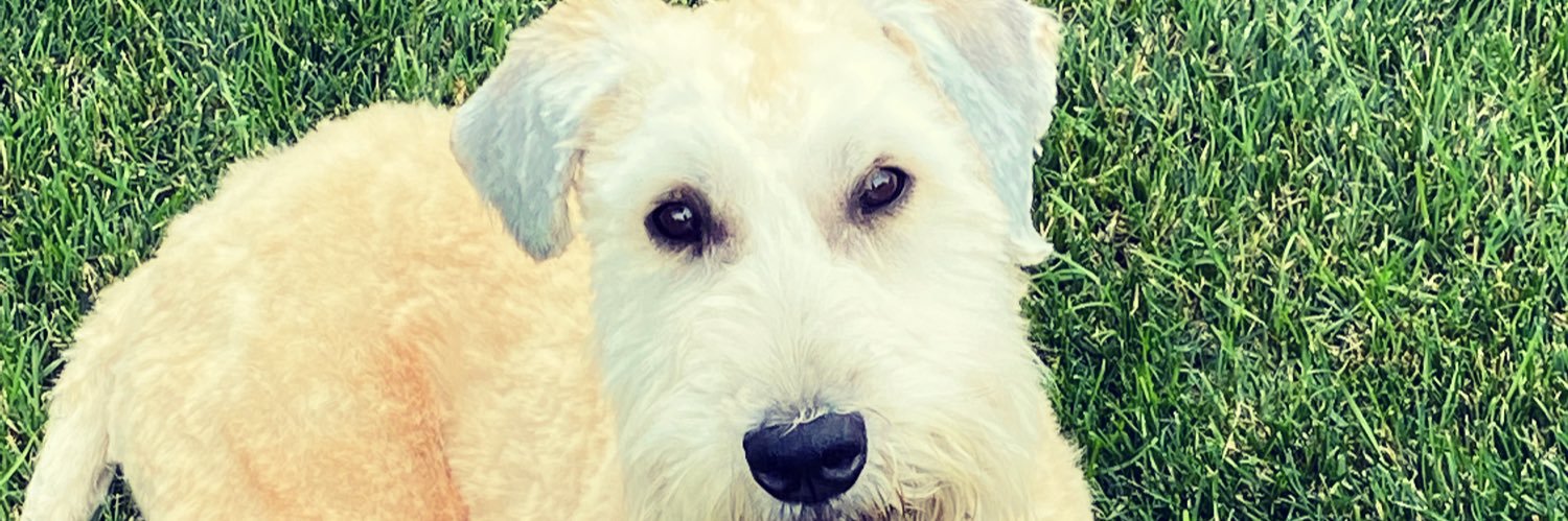 AllDayAndyDay's profile banner image