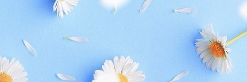 InesGaarciia's profile banner image