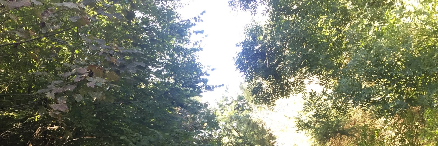 PheebsStubb's profile banner image
