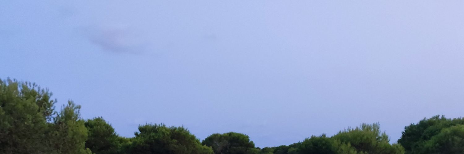 ferperva's profile banner image
