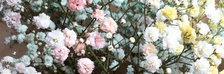 Senja__A's profile banner image